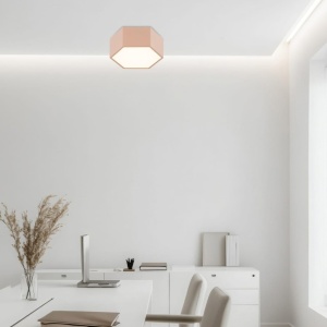 Plafoniera, Spot aplicat LED LIBERO piersica 246079 universul-luminii.ro
