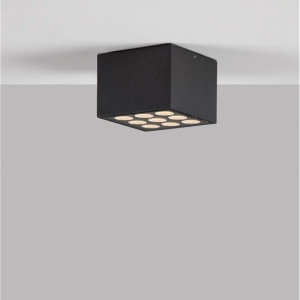 Plafoniera tip spot LED iluminat exterior IP54 JAX antracit 558709 universul-luminii.ro