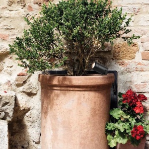 Proiector cu tarus iluminat exterior decorativ IP54 Ravy GU10 154479 universul-luminii.ro