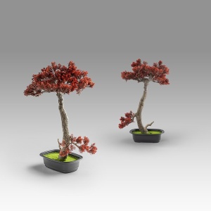 Set de 2 Plante artificiale, Bunjin-hi BONSAI 45cm