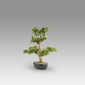 Set de 2 Plante artificiale, Moyogui BONSAI 51cm - Img 3