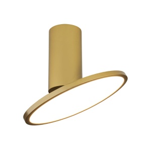 Spot aplicat LED 12W, directionabil, auriu