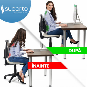 perna lombara scaun birou