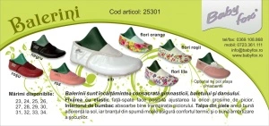 Flyer Balerini D&S