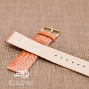 Curea soparla maro XL fara cusatura 22mm - 38738 - Img 4