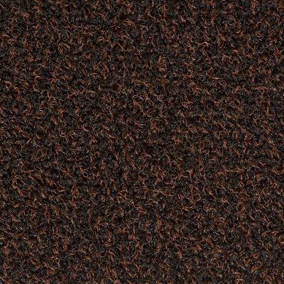 Covor razuitor pentru intrare Collect ,90x150