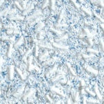 Tapet Lichid Bianco, Sky Blue, Nr. 2