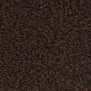 Covor razuitor pentru intrare Collect ,90x150