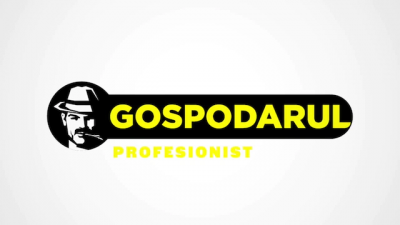 Gospodarul profesionist
