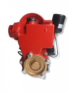 Mini Hidrofor Elefant PS170 fonta, silentios, 0.37 kW, turbina bronz, max 1.8 bari - Img 3