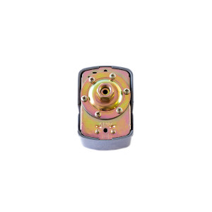 Presostat gri pentru hidrofor MICUL FERMIER GF-0233 - Img 1