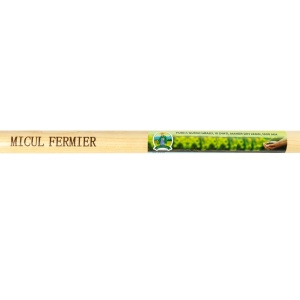 Furca gunoi grajd, 10 dinti, maner lemn, 1600mm - Img 3