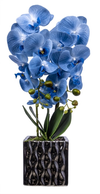 Aranjament floral Orhidee Zilan, 3 fire cu aspect natural, in ghiveci auriu ceramic, H 50 cm, 1300 g, CD3761_Bleu