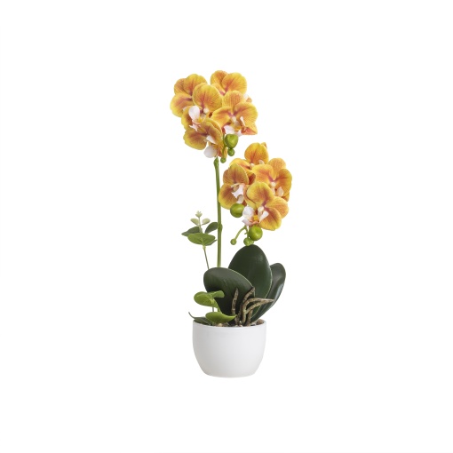 Orhidee Zilan in ghiveci ceramic alb, 9cm diametru, 36cm inaltime, aspect natural, CD5148_Galben