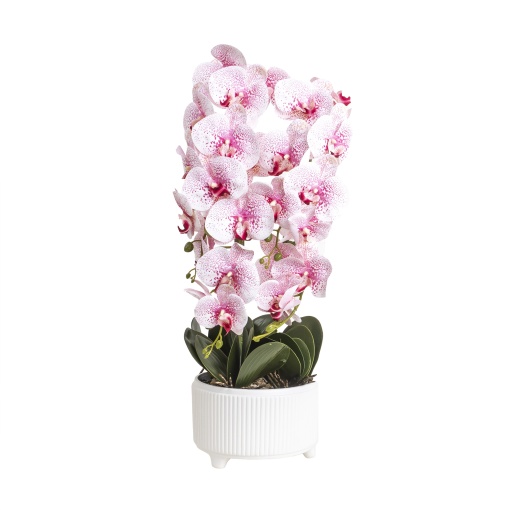 Orhidee in ghiveci ceramic alb, 22cm diametru, H 70cm, Zilan, CD5147_Roz-pal