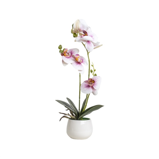Orhidee in ghiveci ceramic alb, D 10cm, H 42cm, Zilan, CD5146_Rozpal