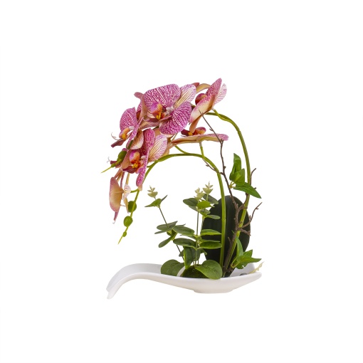 Orhidee naturala in ghiveci ceramic alb, H 33 cm, Zilan, CD3763-multicolor