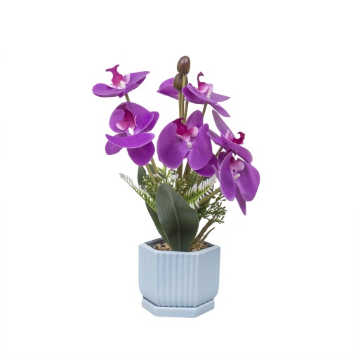 Aranjament floral Zilan, ghiveci ceramic, flori orhidee, culoare fucsia, 13x13x37 cm, ZTS8055_1