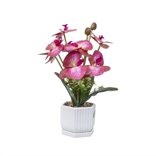 Aranjament floral Zilan, ghiveci ceramic, flori orhidee, multicolor, 13x13x37 cm, ZTS8055_2