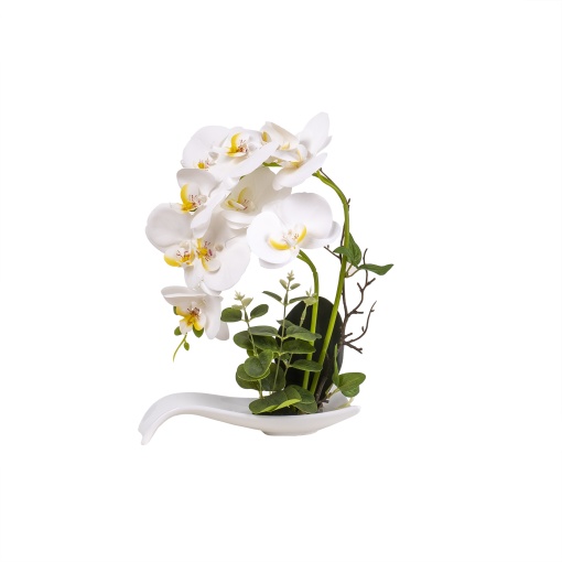Orhidee naturala in ghiveci ceramica alb, H 33 cm, Zilan, CD3763-alb