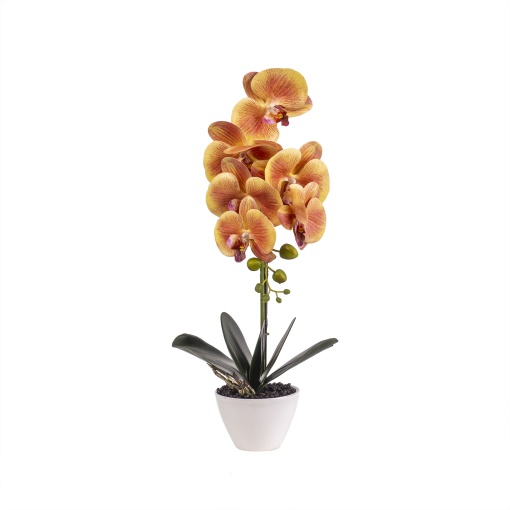 Orhidee naturala Zilan in ghiveci ceramic alb, H 47 cm, aranjament elegant, CD3545-portocaliu