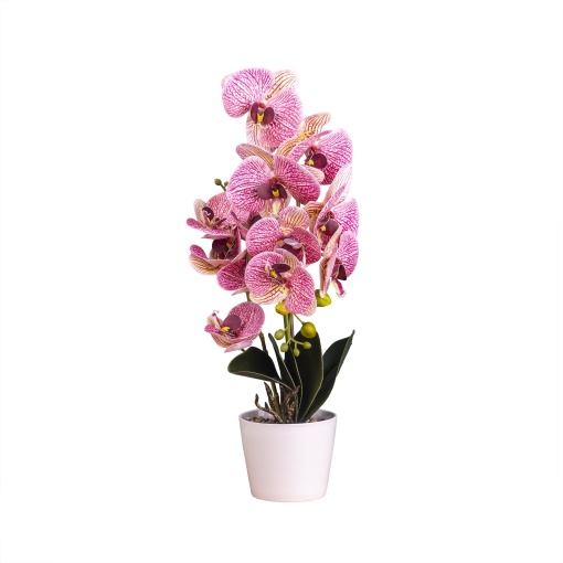 Orhidee in ghiveci ceramic alb, H 47 cm, natural, elegant, Zilan, CD4838-multicolor