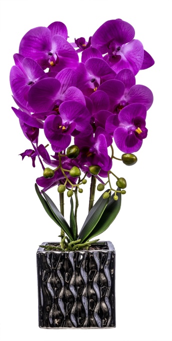 Aranjament floral Zilan cu 3 orhidee asimetrice in ghiveci auriu ceramic, fucsia, H 50 cm, 1300 g, CD3761_Fucsia