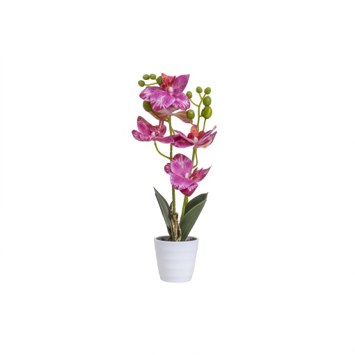 Orhidee in ghiveci ceramic Zilan, 7cm, H 34cm, aspect natural, elegant, CD5150_Roz