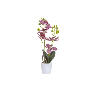 Orhidee Zilan in ghiveci ceramic alb, 7cm diametru, 34cm inaltime, CD5150_Multicolor - Img 1