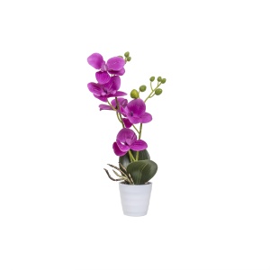 Orhidee naturala in ghiveci ceramic alb, D7cm, H34cm, Zilan, CD5150_Fucsia - Img 1