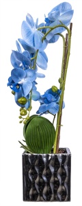 Aranjament floral Orhidee Zilan, 3 fire cu aspect natural, in ghiveci auriu ceramic, H 50 cm, 1300 g, CD3761_Bleu - Img 2