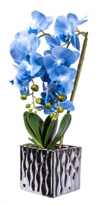 Aranjament floral Orhidee Zilan, 3 fire cu aspect natural, in ghiveci auriu ceramic, H 50 cm, 1300 g, CD3761_Bleu - Img 3