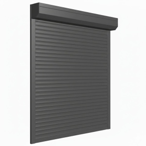 USA DE GARAJ TIP RULOU, ELECTRICA, 2500MM (L) x 2250MM (H), LAMELE DE 55MM - Img 3