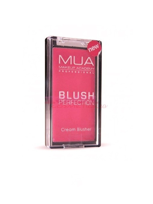 Mua blush perfection cream blush lush 1 - 1001cosmetice.ro