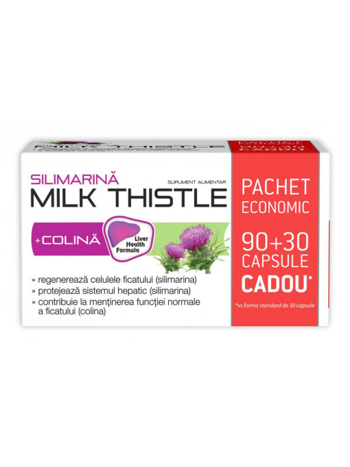 Afectiuni | Silimarina milk thistle + colina 1000 mg pachet 90+30 capsule, zdrovit | 1001cosmetice.ro