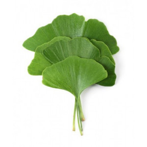 Ginkgo biloba supliment alimentar 24/7, adams thumb 4 - 1001cosmetice.ro