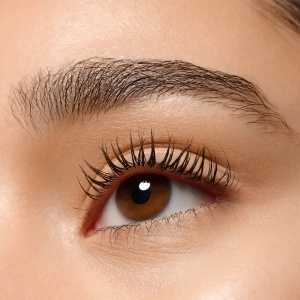 [Mascara maro pentru alungire și volum lash without limits tubing 05 brown tubing, essence, 13 ml - 1001cosmetice.ro] [8]