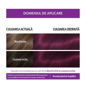 [Vopsea semipermanente trendy colors loncolor, 2 x 25 ml, castaniu violet/ twilight, v3 - 1001cosmetice.ro] [2]
