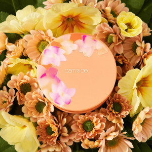 Iluminator cream to powder seeking flowers apriglow c02 catrice thumb 3 - 1001cosmetice.ro