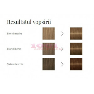 Schwarzkopf colorant permanent vopsea de par sub forma de gel blond nude 7.0 thumb 2 - 1001cosmetice.ro