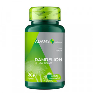 Dandelion, extract de papadie supliment alimentar 10:1, adams thumb 2 - 1001cosmetice.ro