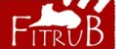 Fitrub