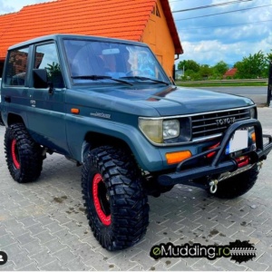 Troliu electric auto Grizzly