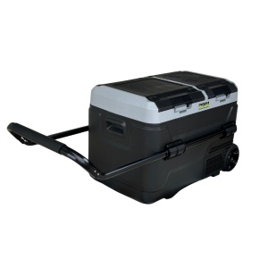 Frigider si congelator auto