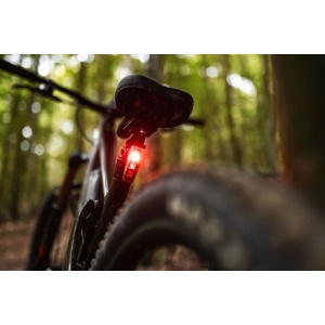 Lampa roșie de spate montată pe tija de șa a bicicletei, în pădure.