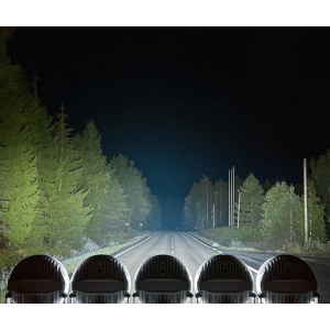 Proiectoarele LED Strands Firefly Driving de 22,9 cm, iluminând eficient drumul forestier.