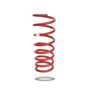 Arc elicoidal spate Dacia