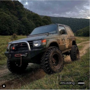Troliu electric auto Grizzly