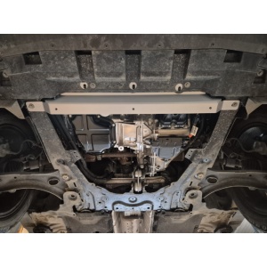 Scut auto metalic Dacia
