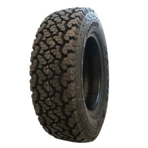 205/70 R15C Maxxis AT980E